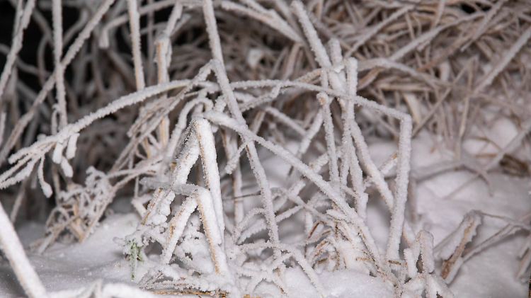 Schnee, Schneeverwehungen und Frost: Winter hat Deutschland weiterhin fest im Griff / Minus 6 Grad und verschneite Landschaft auf dem Fichtelberg in Sachsen / Neuschnee auch in den westlichen Mittelgebirgen und an den Alpen