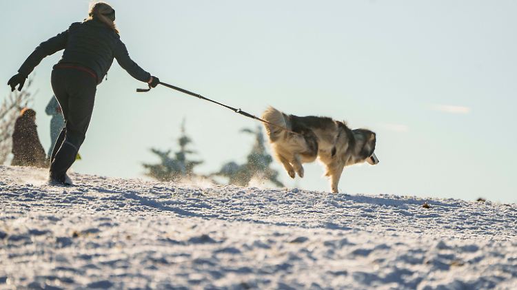 Erster Schnee der Saison im Taunus