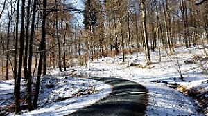 22.11.2025 - Winteridylle: Ein Wanderweg führt durch den mit einer dünnen Schneeschicht bedeckten Wald am Großen Feldber