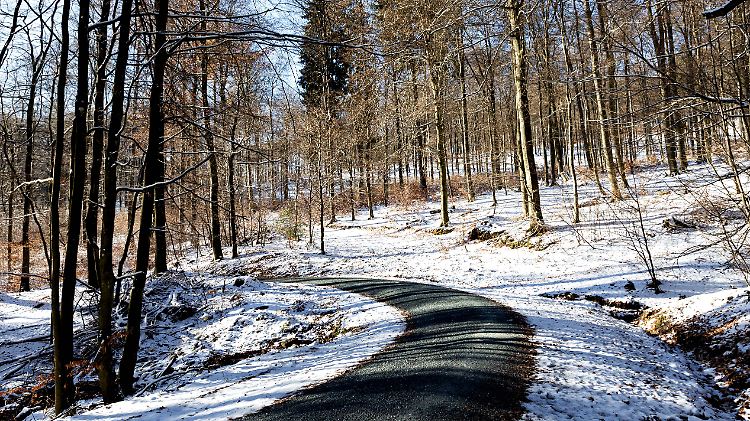22.11.2025 - Winteridylle: Ein Wanderweg führt durch den mit einer dünnen Schneeschicht bedeckten Wald am Großen Feldber
