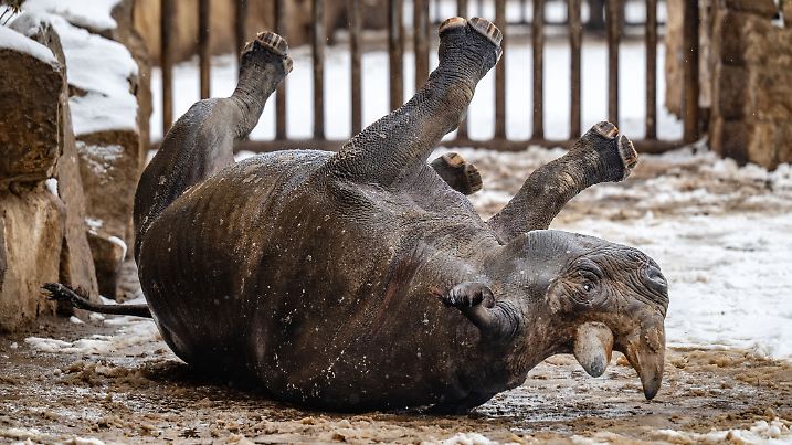 Wetter in Tschechien