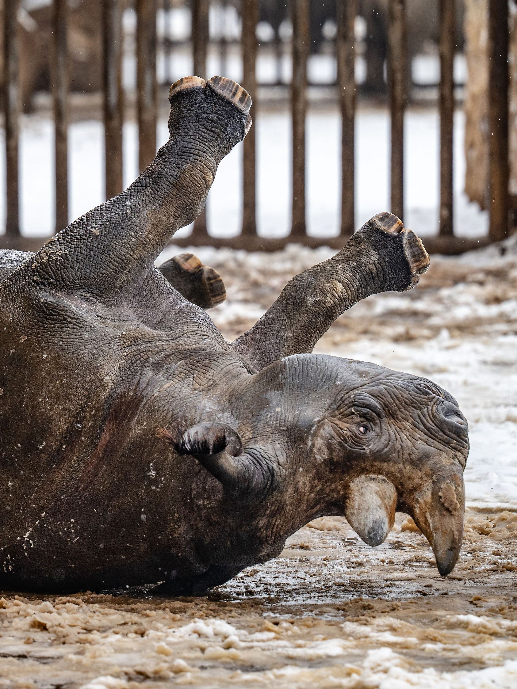 Wetter in Tschechien