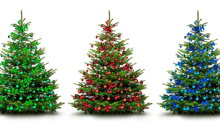 Weihnachten ohne Baum - für viele kaum vorstellbar. Nur welcher soll es werden?