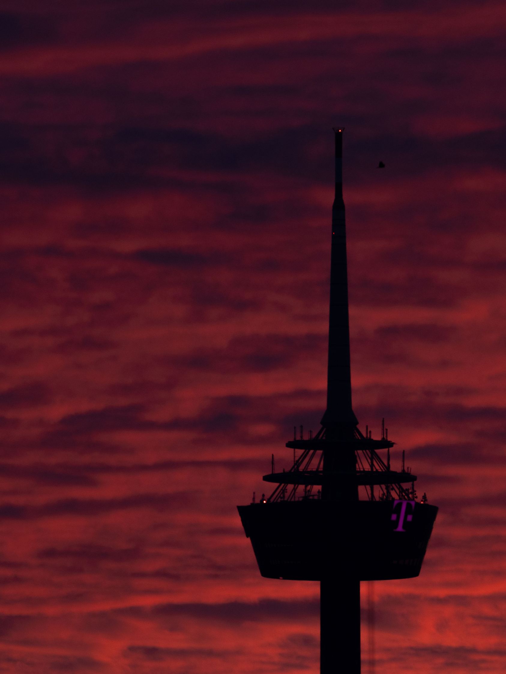 Sonnenaufgang in Köln - Wetter