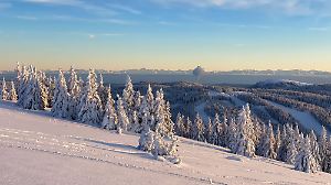 Winterzauber am verschneiten Feldberg