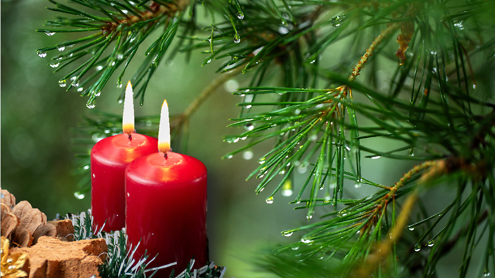 Zwei Adventskerzen mit Regentropfen im Tannenbaum