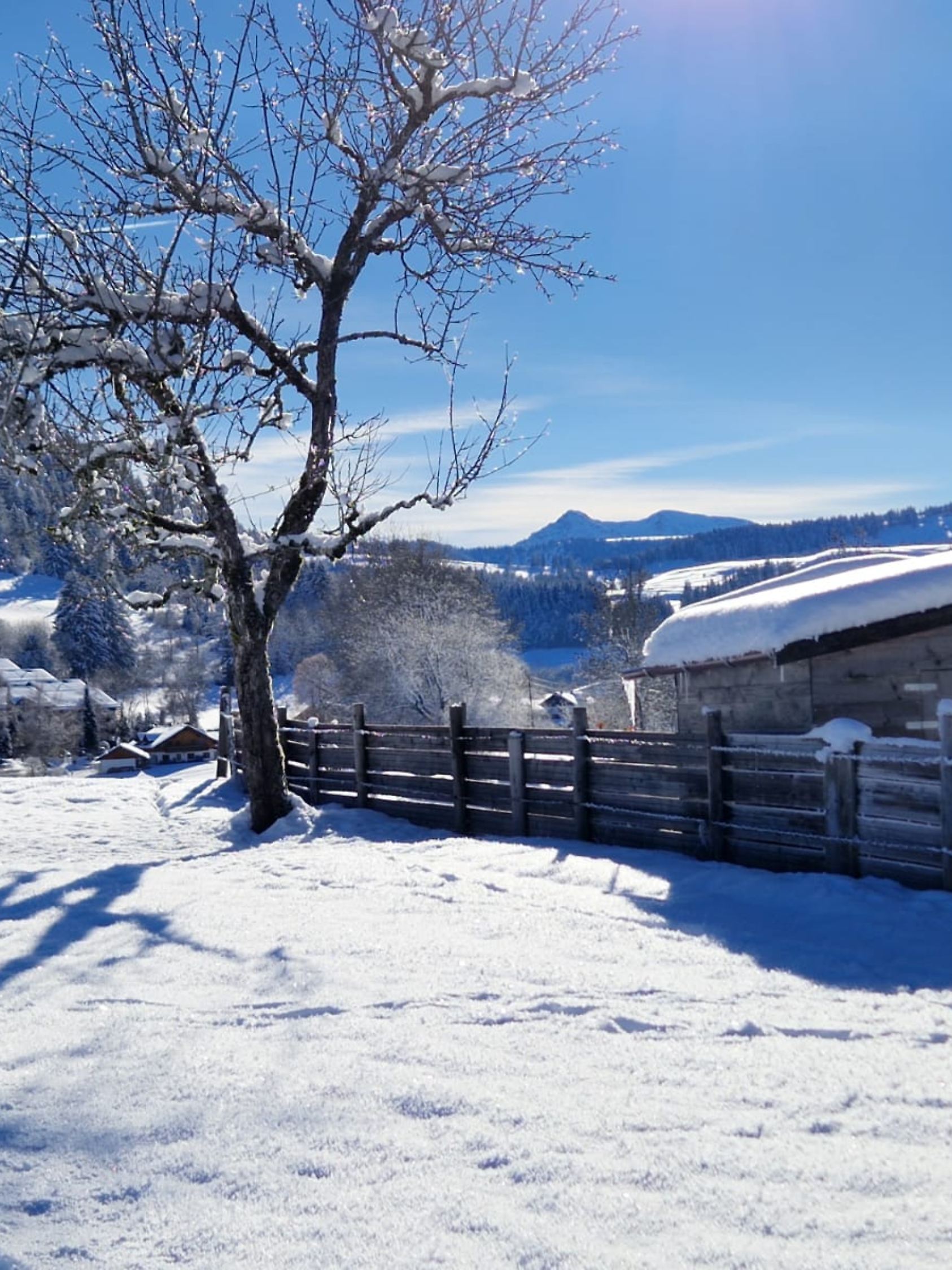 Die Trettenbachloipe, die im November nur selten gespurt ist
