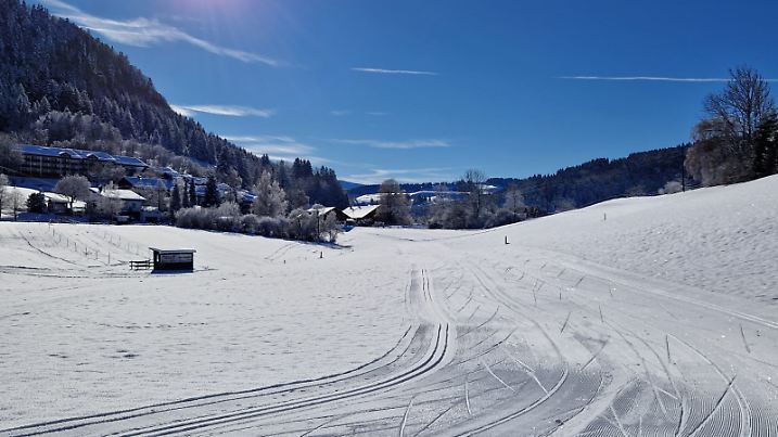 Loipen Richtung blauem Himmel
