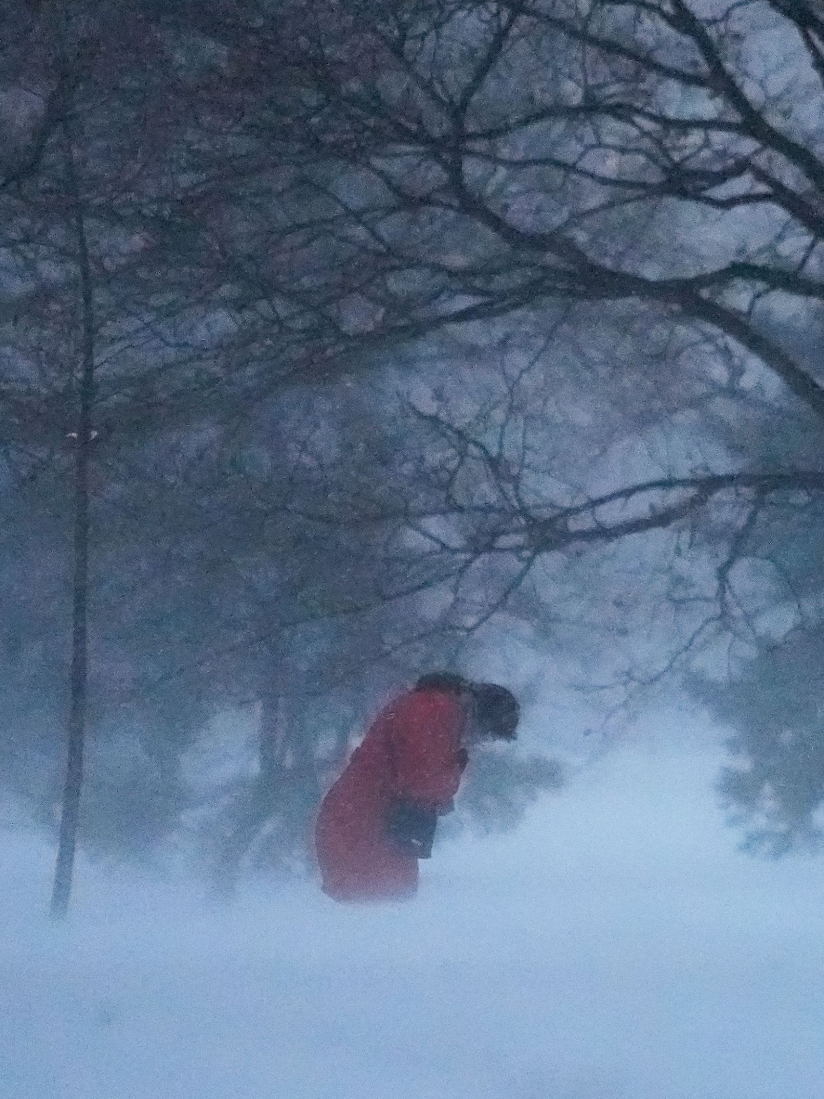 Winterwetter in Chicago