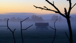 Morgenstimmung in Brandenburg