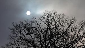 Die Wintersonne scheint durch den bedeckten Himmel über einem Baum. Foto: Moritz Frankenberg/dpa/Symbolbild