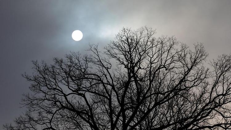 Die Wintersonne scheint durch den bedeckten Himmel über einem Baum. Foto: Moritz Frankenberg/dpa/Symbolbild