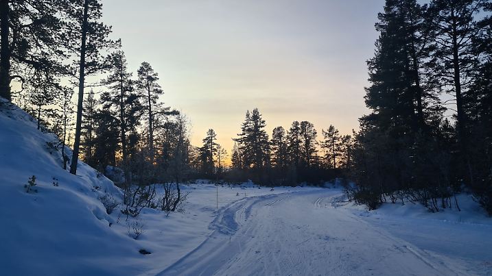 In Norwegen warten herrliche Loipen und Einsamkeit