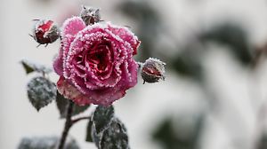 Wetter in Baden-Württemberg