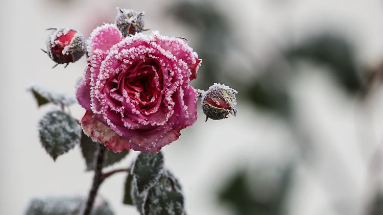Wetter in Baden-Württemberg