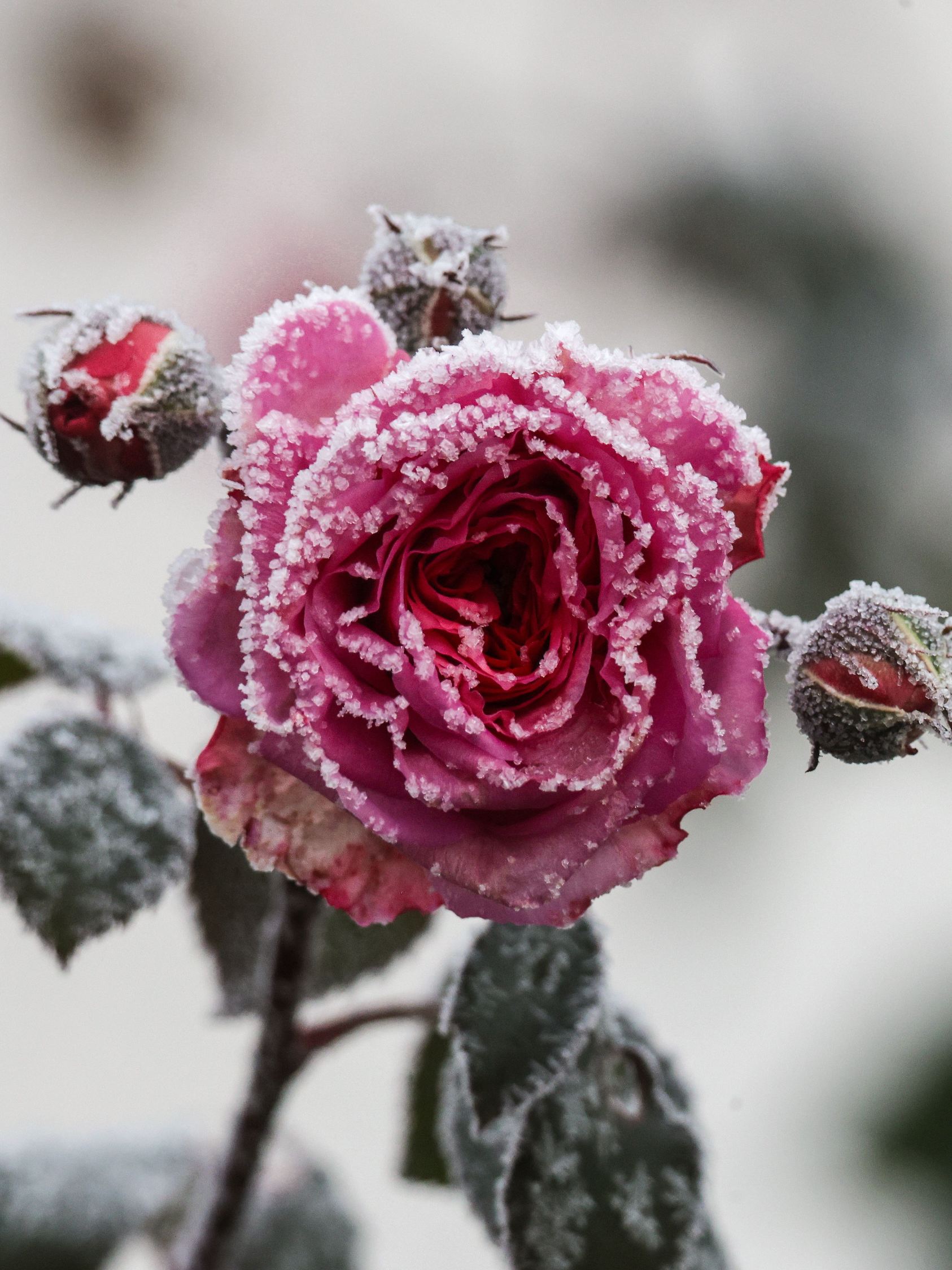 Wetter in Baden-Württemberg