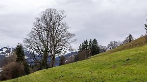 Trübes Wetter am zweiten Advent
