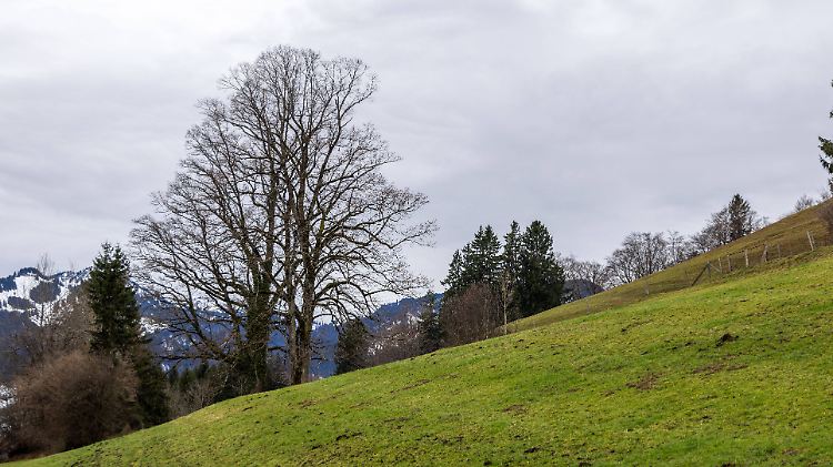 Trübes Wetter am zweiten Advent