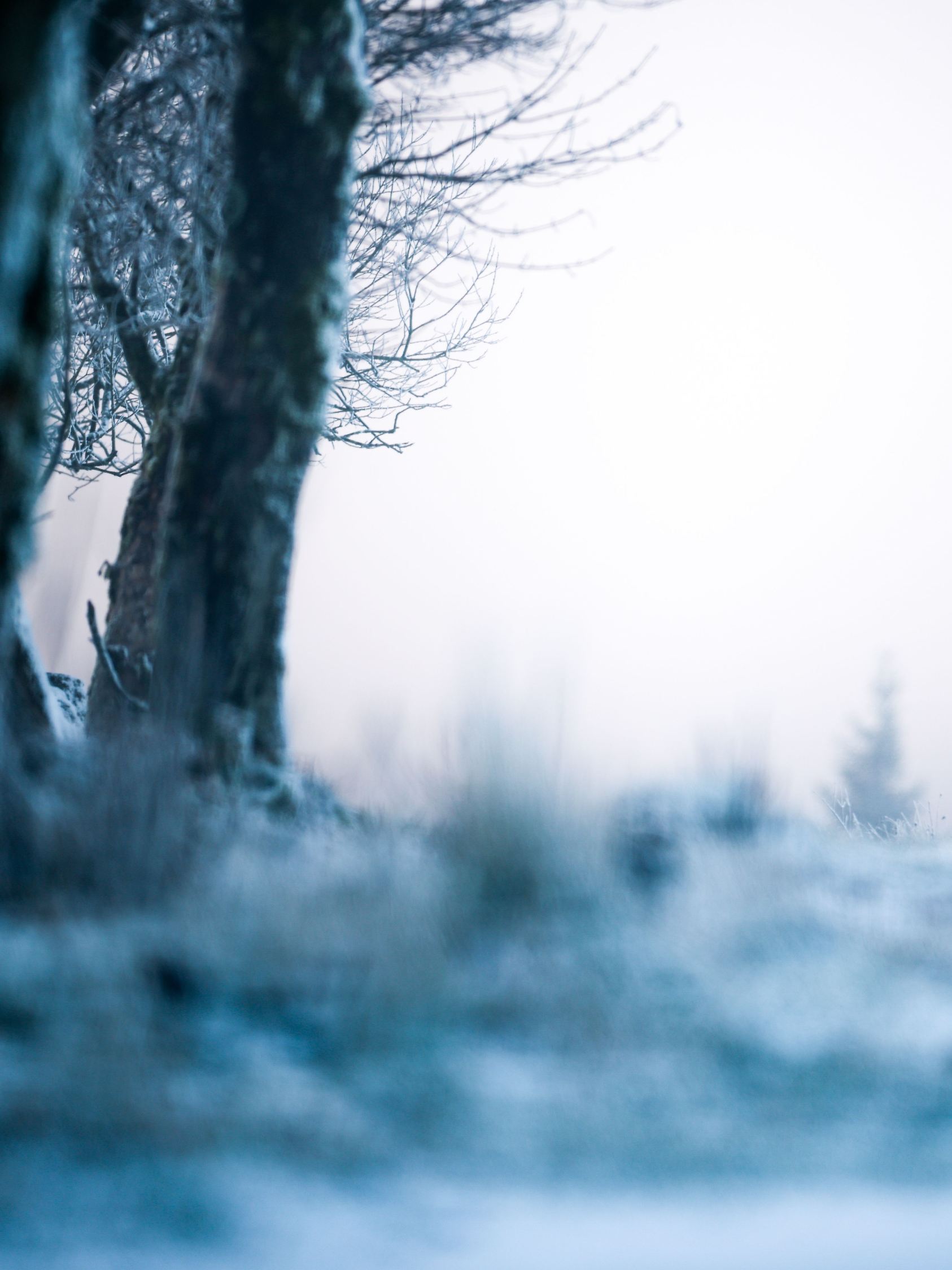 Meteorologischer Winteranfang in Nordrhein-Westfalen
