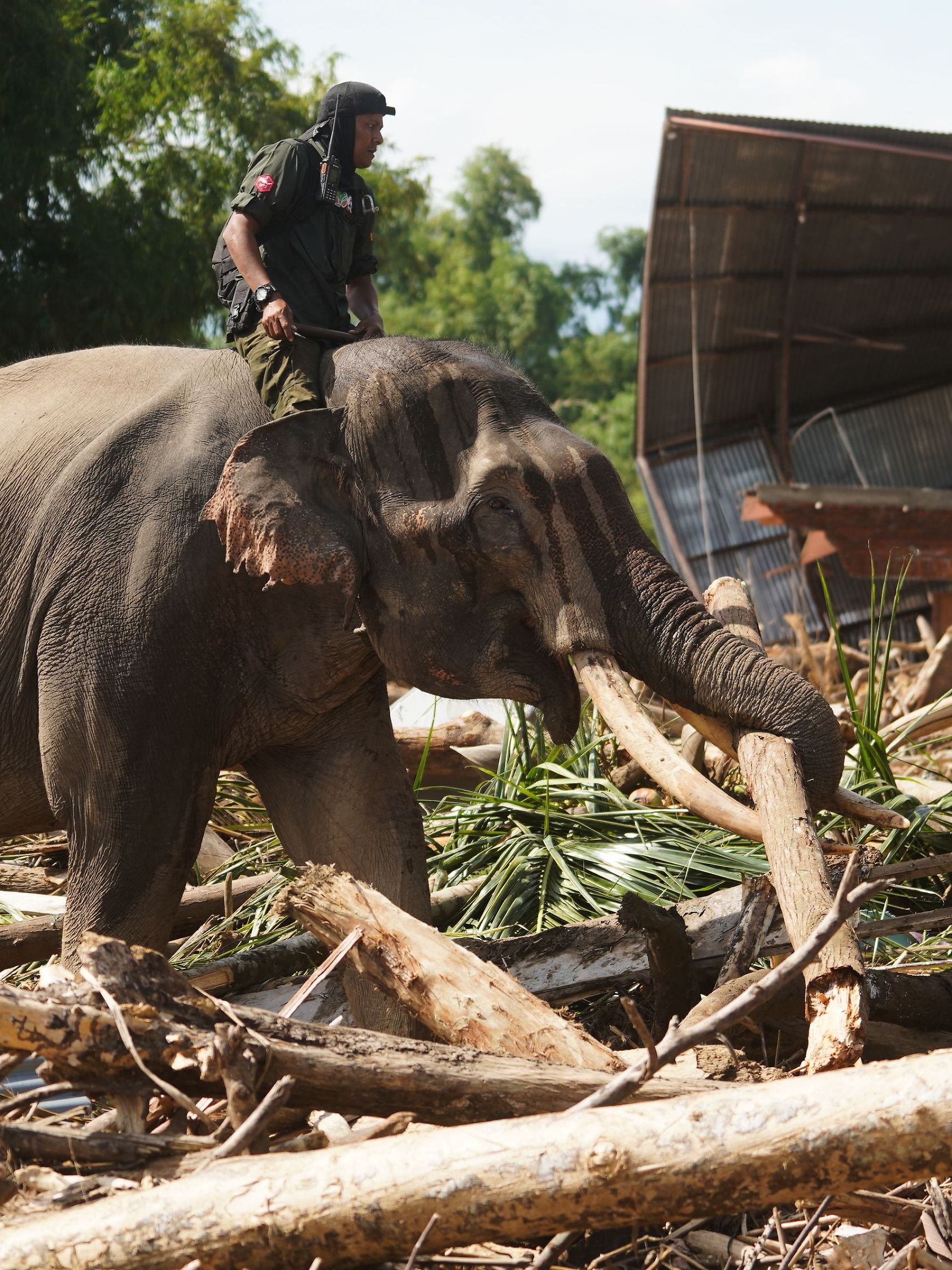 Indonesia Extreme Weather Asia Flooding