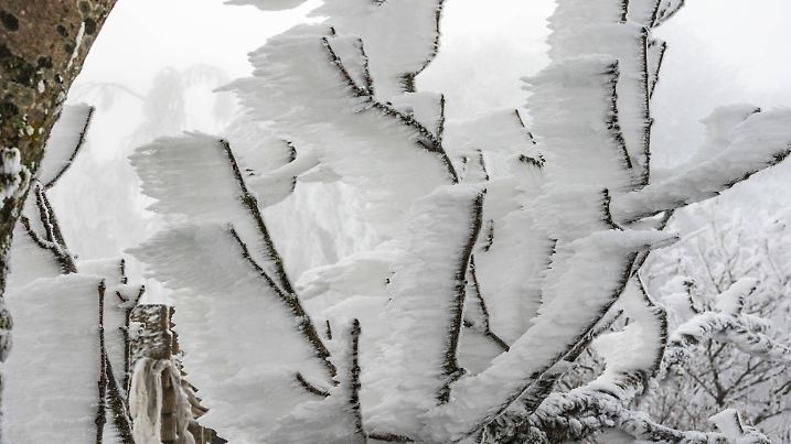 Frost und Nebel in Niederbayern