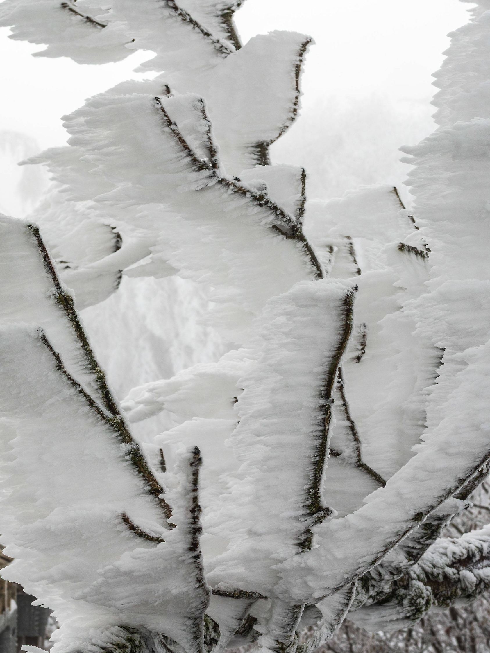 Frost und Nebel in Niederbayern