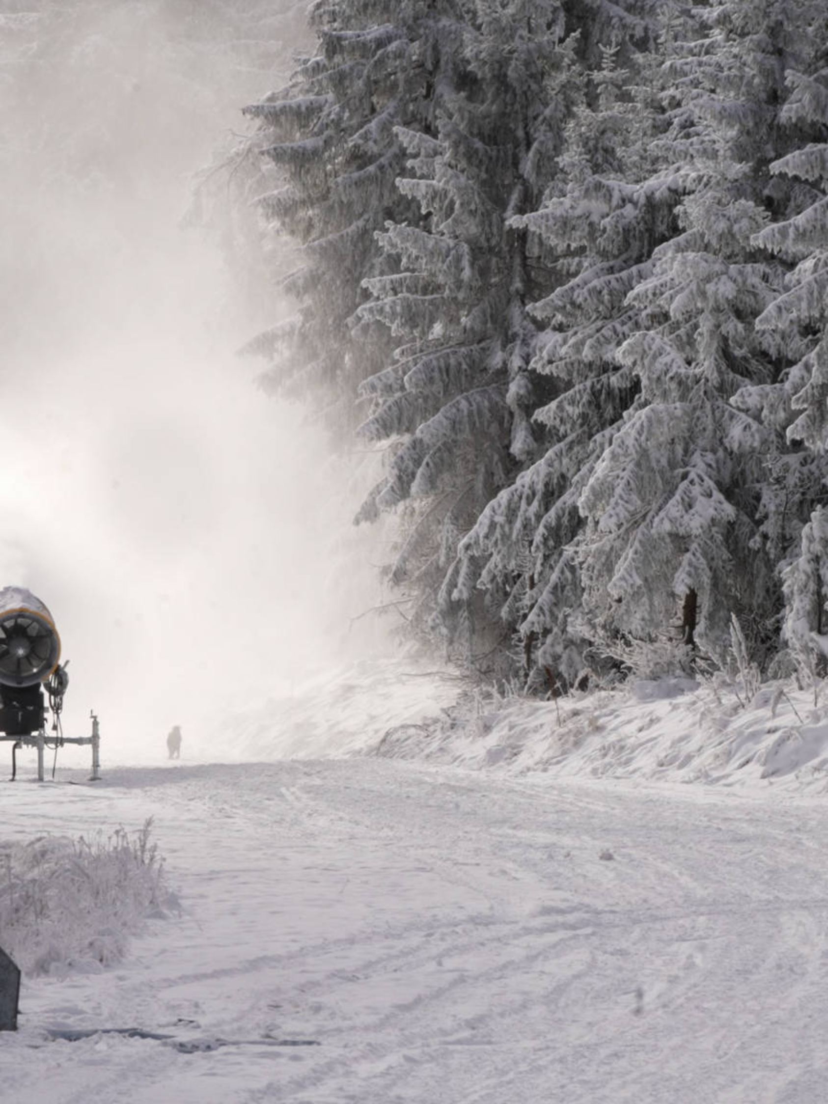 Ansturm auf die Wintersportgebiete in den Hochlagen. Nach den Schneefällen herrschte am Samstag im Erzgebirge Kaiserwett