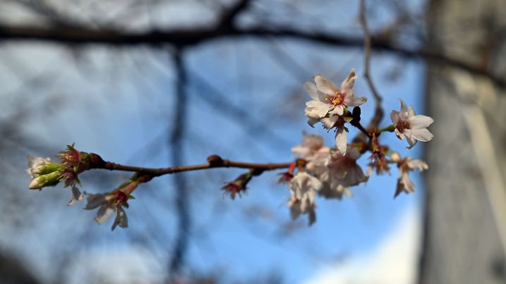 Milde Temperaturen in NRW