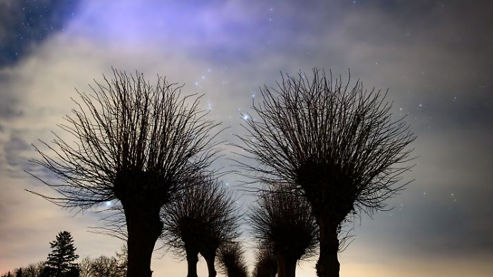 Sternschnuppen-Schau am Wochenende