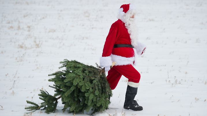 Weihnachtsmann bringt Baum