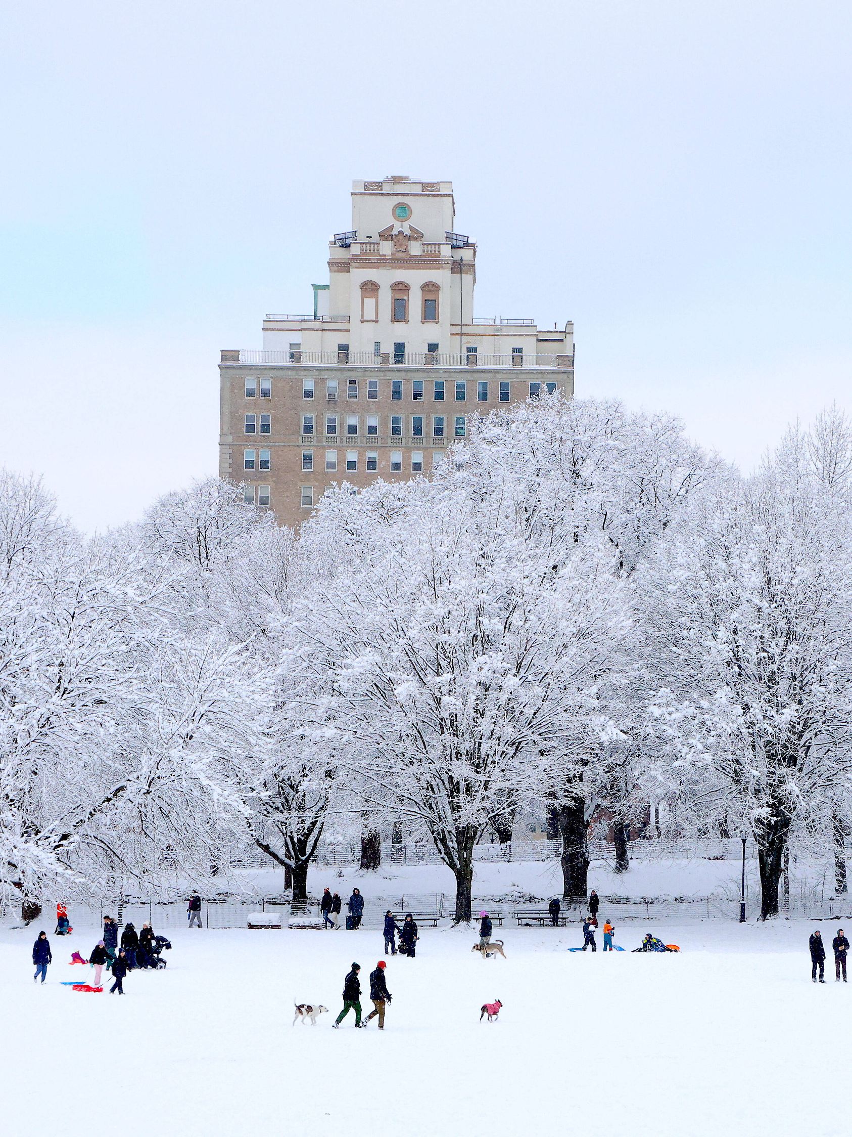 Snow During Winter Storm - NYC