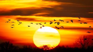 Wetter im Bremer Blockland