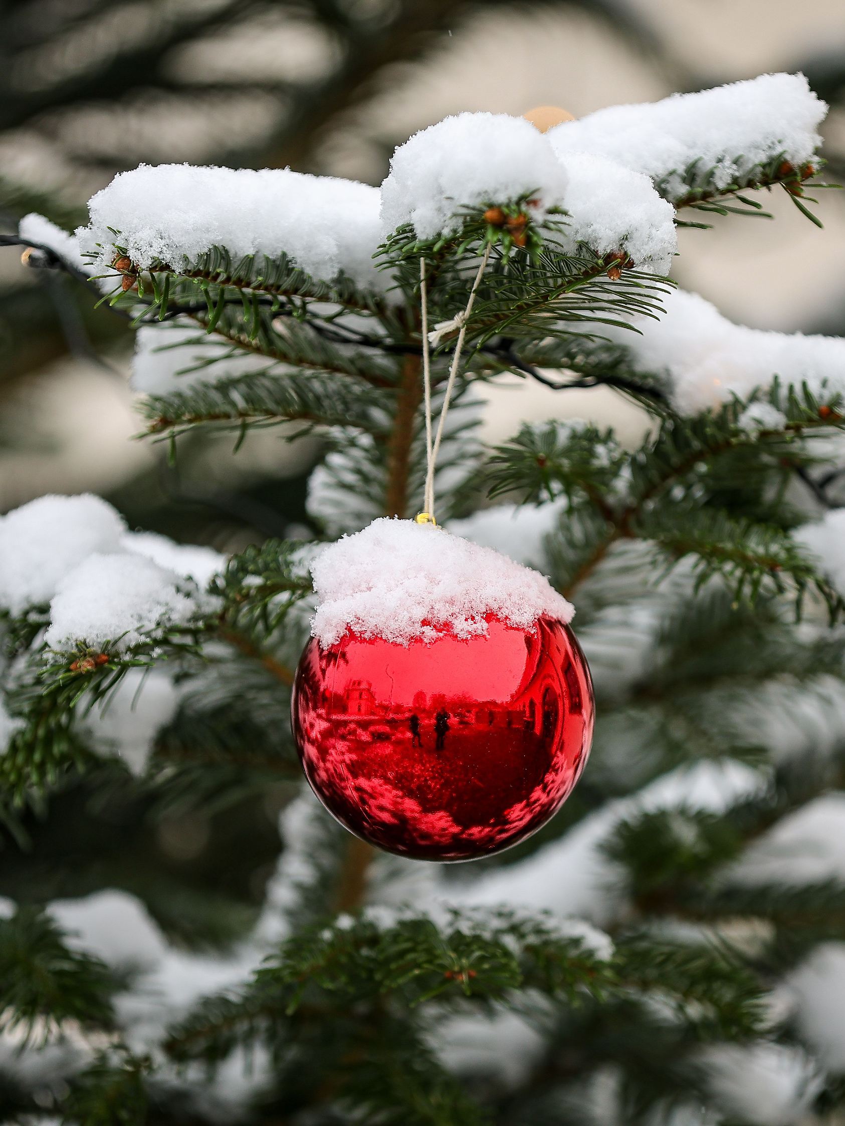 Wie stehen die Chancen für weiße Weihnachten?