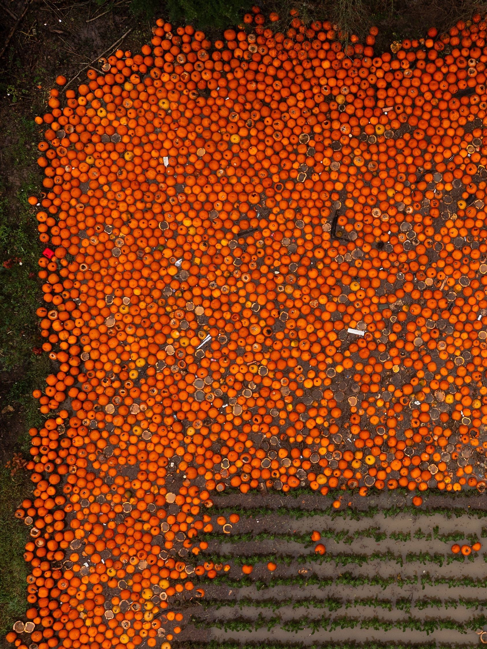 US Extreme Weather Washington