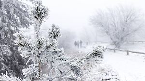 Winter in den Mittelgebirgen