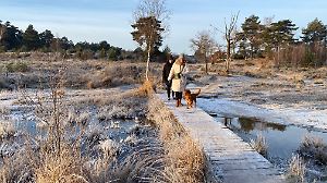 Brunssum, Netherlands- December 18, 2022. People having a winter morning walk in the heath area cold Brunssummerheide.