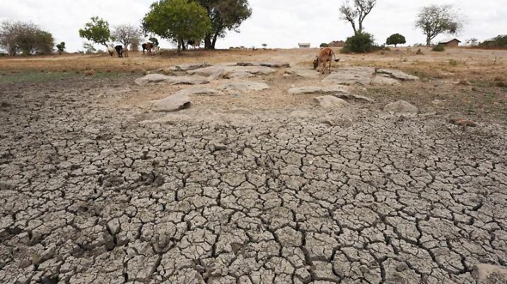 Seit Monaten dauert in Somalia, Kenia und Äthiopien eine schwere Dürre an. Foto: Dong Jianghui/XinHua/dpa