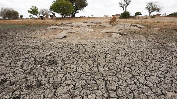 Seit Monaten dauert in Somalia, Kenia und Äthiopien eine schwere Dürre an. Foto: Dong Jianghui/XinHua/dpa
