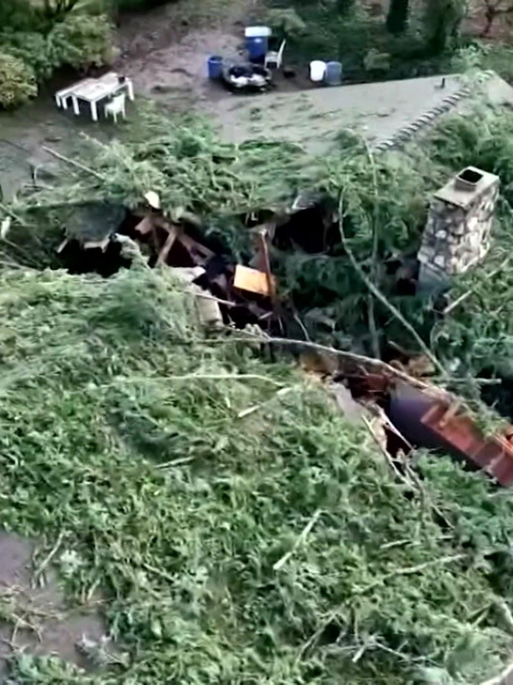 In zwei Hälften geteilt