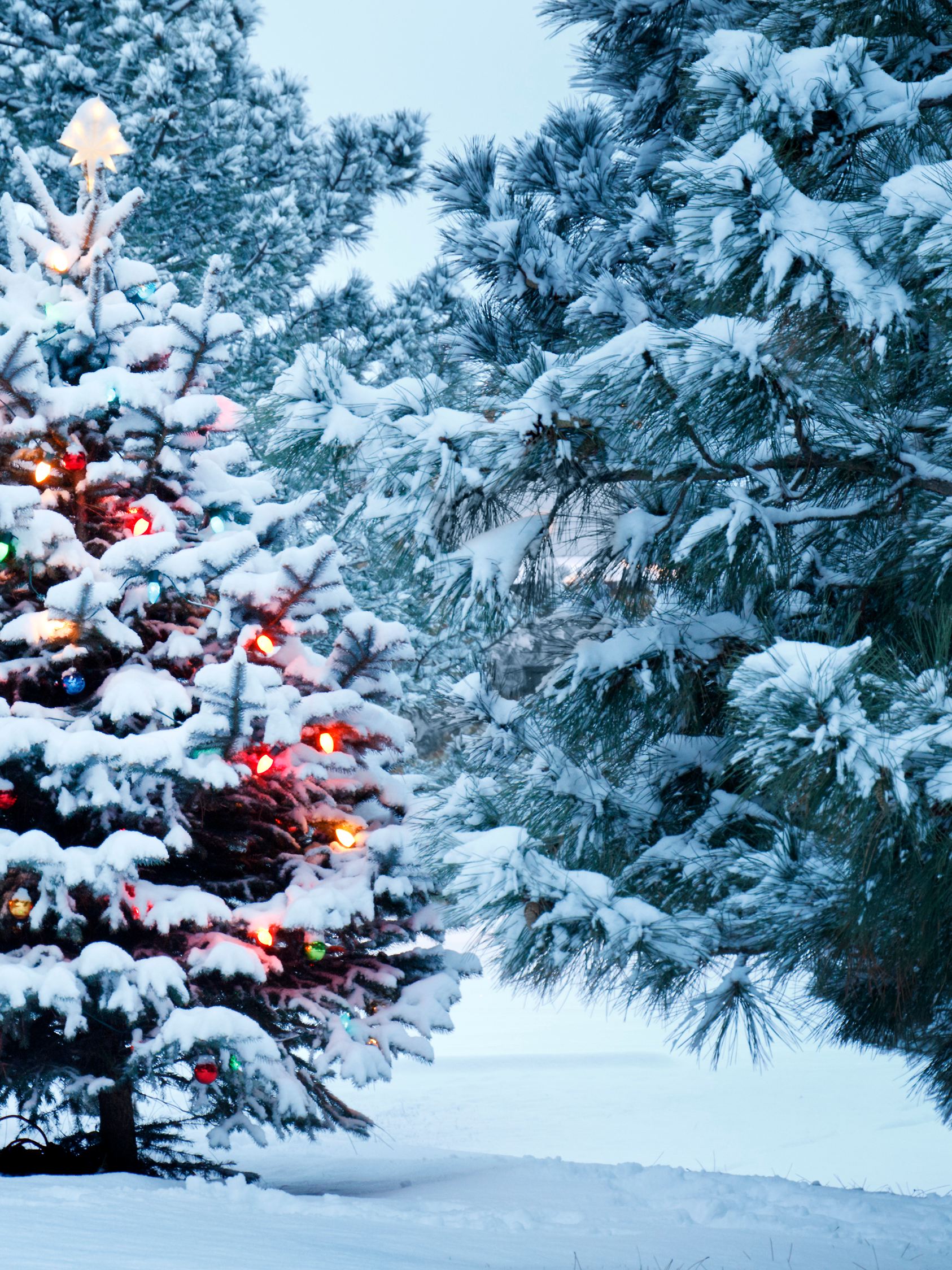 Weihnachten mit Schnee – so wäre es perfekt.