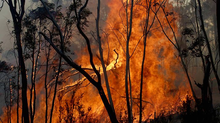 January 12, 2020, Victoria, Australia: Bushes and trees burn in an area where a joint Australian and U.S. strike team w