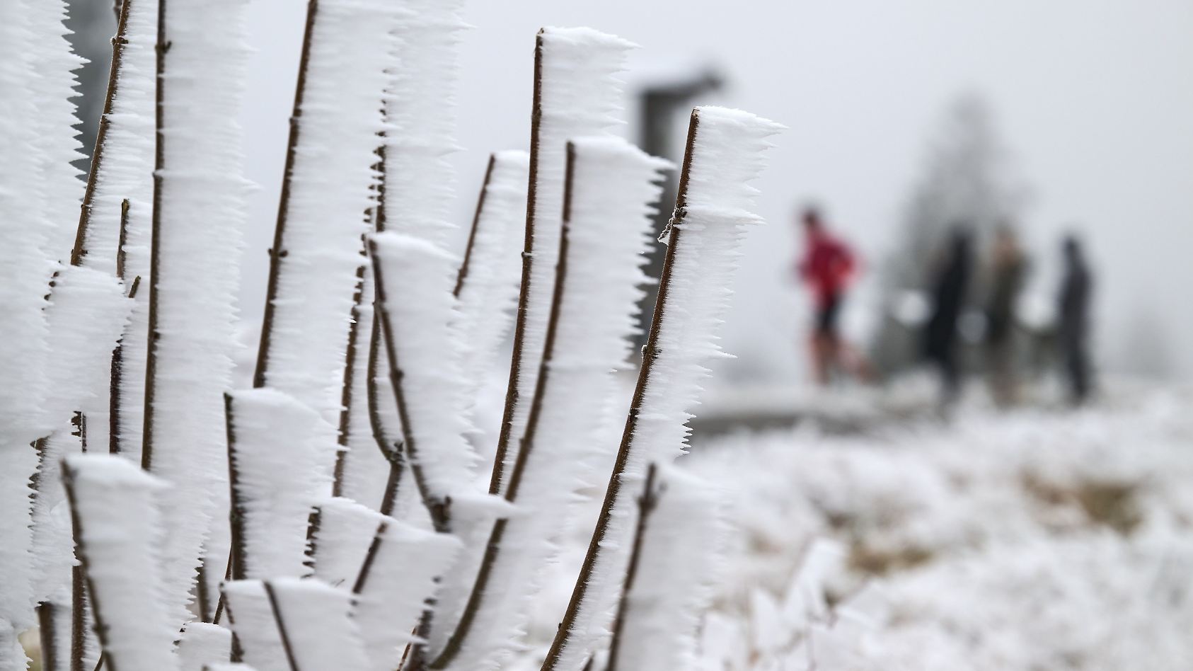 42-Tage-Wettertrend f&uuml;r Deutschland: Winter mit Schnee, K&auml;lte und Frost bis weit in den Januar