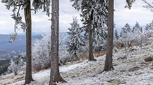 Heilig Abend am Großen Feldberg
