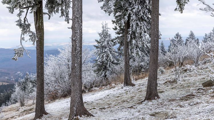 Heilig Abend am Großen Feldberg