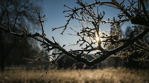 Wetter in Mecklenburg-Vorpommern