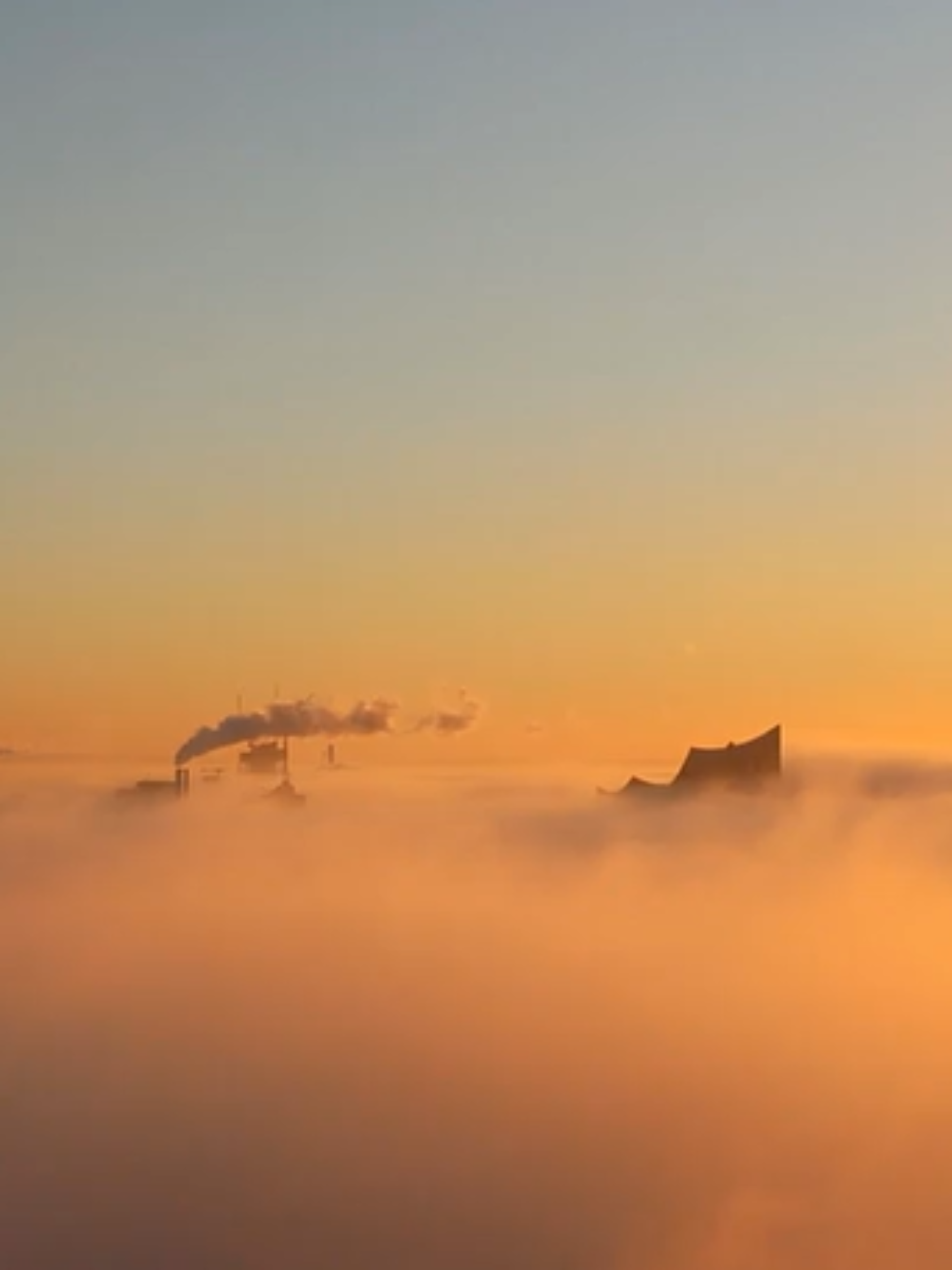 Bodennebel am Morgen in Hamburg