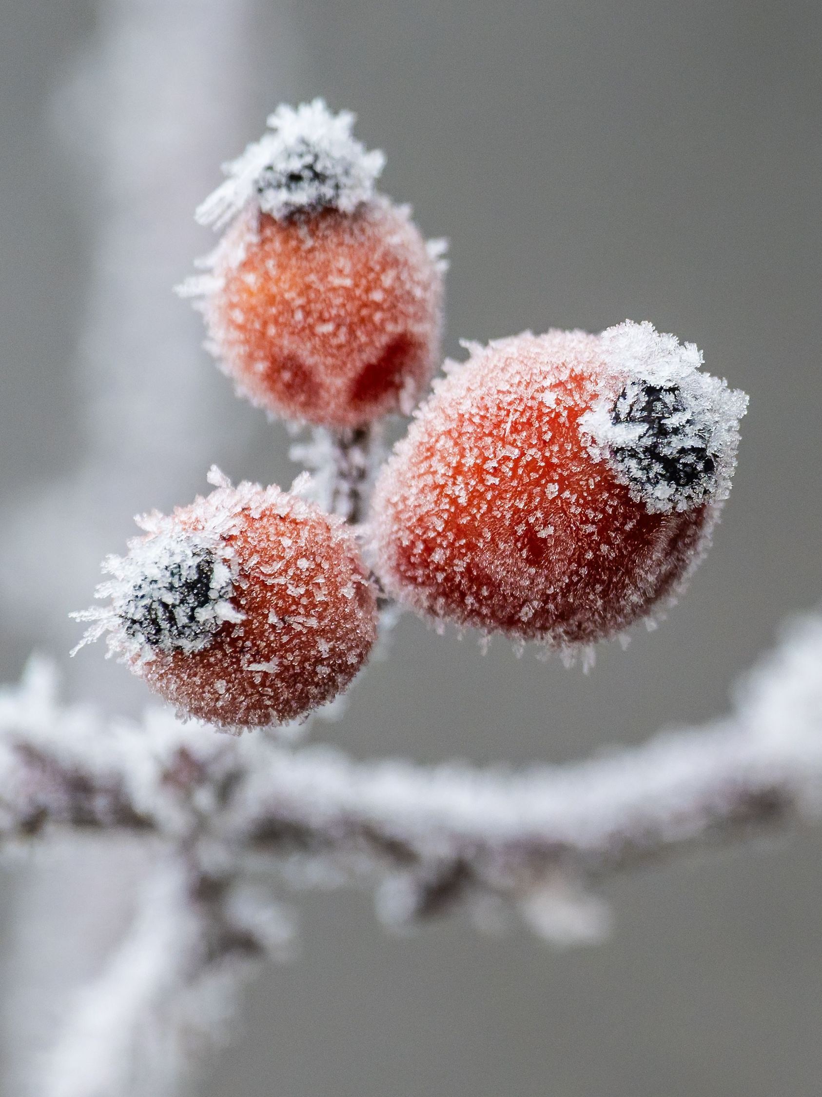 Wetter in Baden-Württemberg