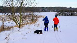 Winter in Brandenburg