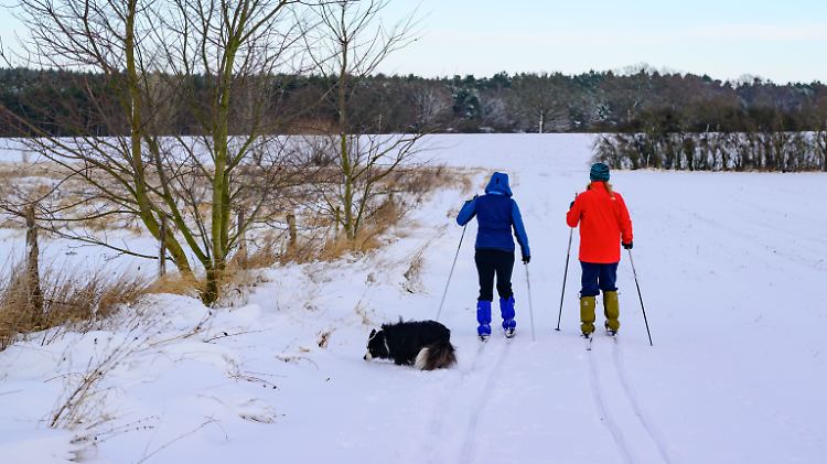 Winter in Brandenburg