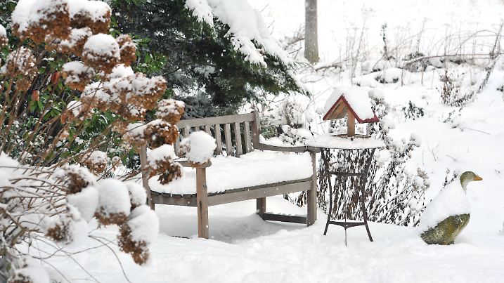Was wunderschön aussieht, kann für die ein oder andere Pflanze zur Gefahr werden.
